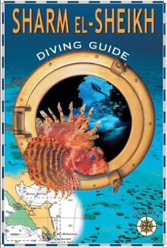 Sharm El Sheikh Diving Guide