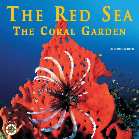 The Red Sea The Coral Garden