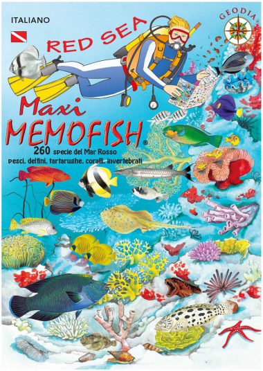 maxi-memofish