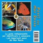 memofish-book-eng