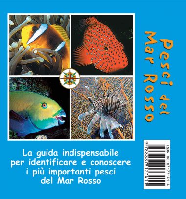 memofish-book-2