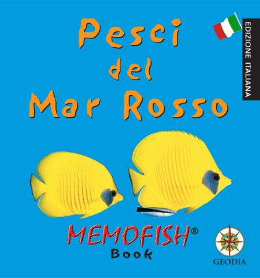memofish-book