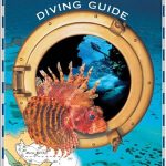 sharm-el-sheikh-diving-guide-guida-immersioni