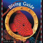 sinai-diving-guide