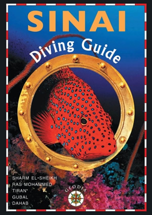sinai-diving-guide